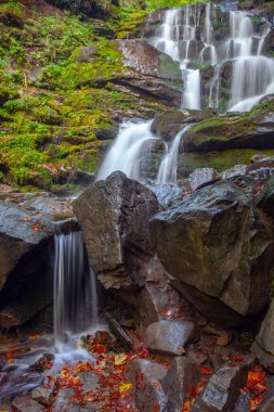 Sonbaharda Karpat dağlarında Shypit şelalesi, Ukrayna