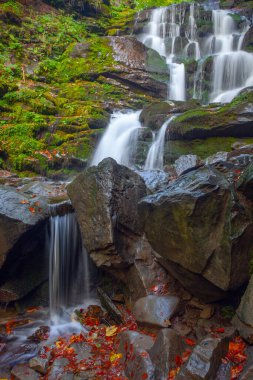 Sonbaharda Karpat dağlarında Shypit şelalesi, Ukrayna