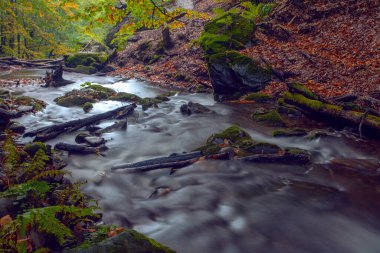 Sonbaharda Karpat dağlarında Shypit şelalesi, Ukrayna