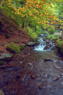 Sonbaharda Karpat dağlarında Shypit şelalesi, Ukrayna