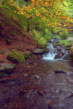Sonbaharda Karpat dağlarında Shypit şelalesi, Ukrayna