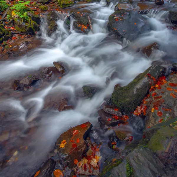 Sonbaharda Karpat dağlarında Shypit şelalesi, Ukrayna