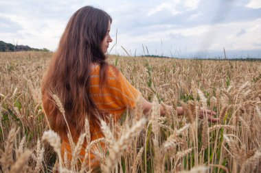 Ukrayna 'da buğday tarlasında güzel bir genç kadın.