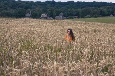 Ukrayna 'da buğday tarlasında güzel bir genç kadın.