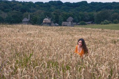 Ukrayna 'da buğday tarlasında güzel bir genç kadın.