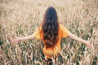 Ukrayna 'da buğday tarlasında güzel bir genç kadın.