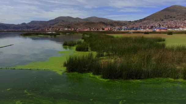 Titicaca Partján Horgonyzó Turisták Hajói Puno Vagyok Peru — Stock videók
