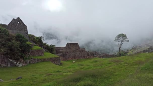 Стародавнє Місто Мачу Пікчу Вид Хучу Пікчу Хмарну Погоду — стокове відео