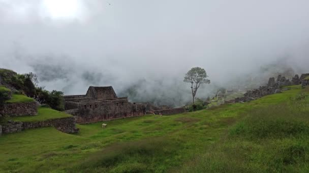 Machu Picchu Ancient City View Huchu Picchu Cloudy Weather — Vídeos de Stock