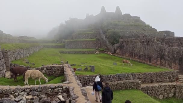 Machu Picchu Ancient City View Huchu Picchu Cloudy Weather — Stockvideo