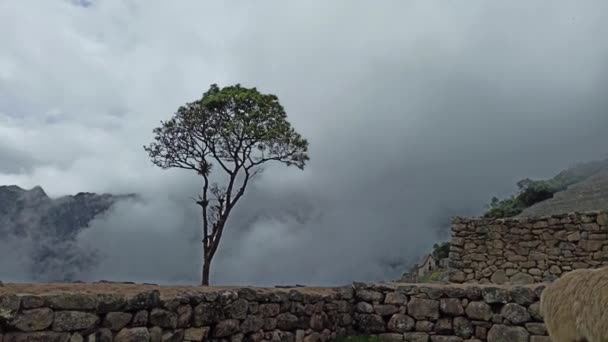Machu Picchu Ancient City View Huchu Picchu Cloudy Weather — Vídeos de Stock