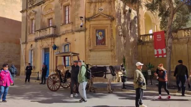 Mdina Malta Lutego 2024 Turyści Zwiedzani Przez Transport Konny Ulicach — Wideo stockowe