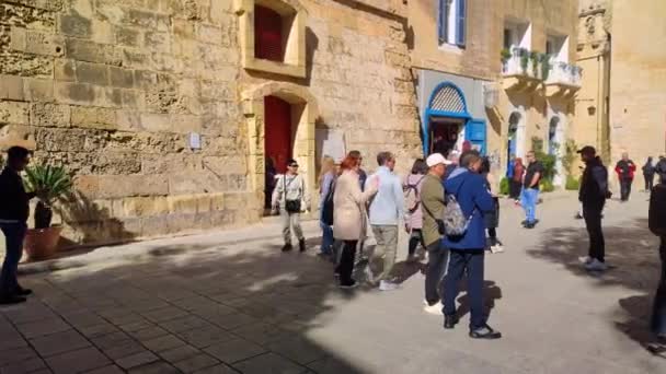 Mdina Malta February 2024 Tourists Being Toured Horse Carriage Old — Stock Video