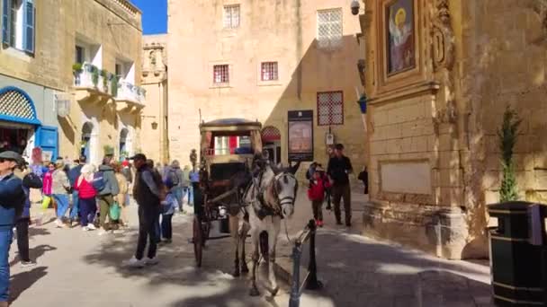 2024年2月15日至15日 马尔他 Mdina 游客们乘坐马车在马耳他Mdina的老城区街道上游览 — 图库视频影像