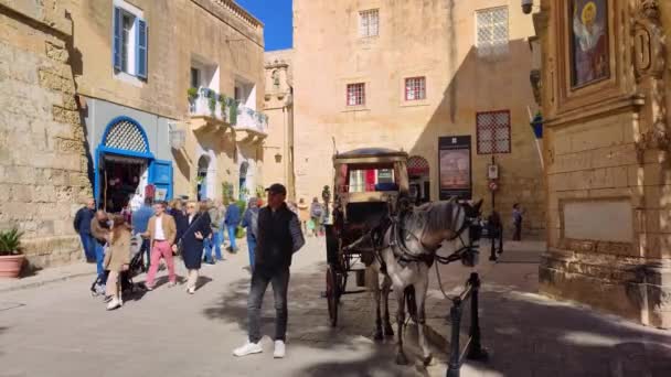Mdina 2024 Mdina의 오래된 주변의 운송으로 여행하는 관광객 — 비디오