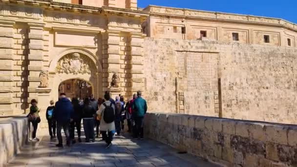 Mdina Malta Lutego 2024 Turyści Zwiedzani Przez Transport Konny Ulicach — Wideo stockowe