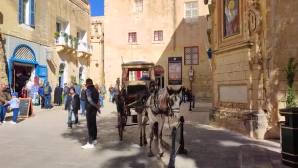 Mdina Malta Fevereiro 2024 Turistas Excursão Por Carruagem Nas Ruas — Vídeo de Stock