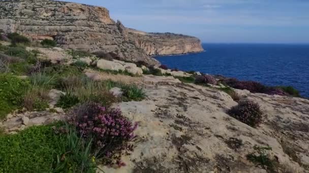 Beautiful View Cliffs Blue Grotto Malta — Stock Video
