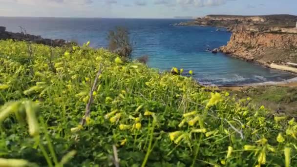 Зимой Мальта Знаменита Золотым Заливом Пляжем Ричча — стоковое видео