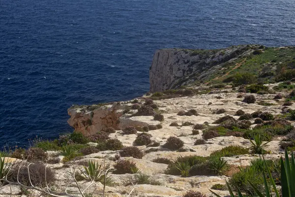 Красиві Скелі Квіти Мальтійському Морі Навколо Знаменитого Пункту Призначення Блакитного — стокове фото