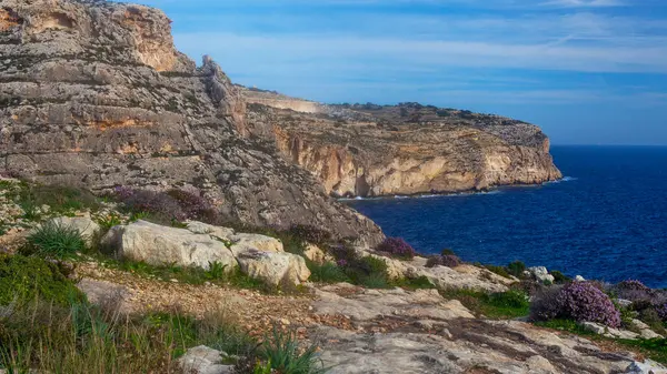 Malta sahilinde güzel kayalıklar ve çiçekler, ünlü Blue Grotto durağı civarında.