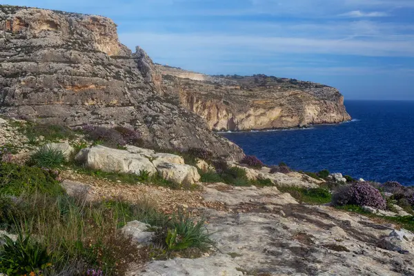 Vackra Klippor Och Blommor Malta Seacost Runt Berömda Blue Grotto Royaltyfria Stockbilder