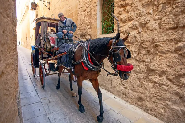 Mdina, Malta - 14 Şubat 2024: Malta 'nın eski başkenti Mdina (Sessiz Şehir veya L-Imdina). Tarihi şehirde turistik arabalı eski evler.