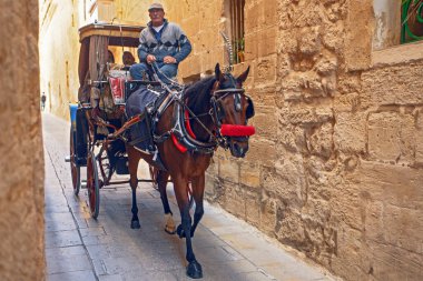 Mdina, Malta - 14 Şubat 2024: Malta 'nın eski başkenti Mdina (Sessiz Şehir veya L-Imdina). Tarihi şehirde turistik arabalı eski evler.