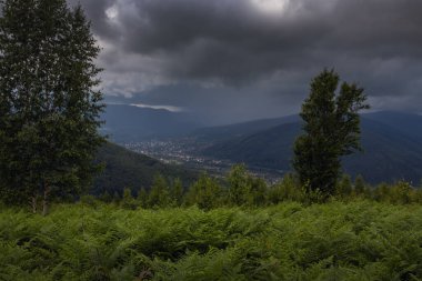 Yağmurlu yaz havasında Karpat Dağları manzarası, Ukrayna