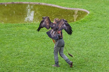 Cabarceno Parkı, Cantabria açıklığı - 19 Temmuz 2024: