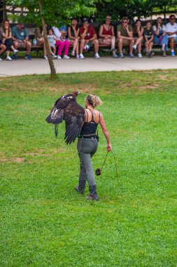 Cabarceno Parkı, Cantabria açıklığı - 19 Temmuz 2024: