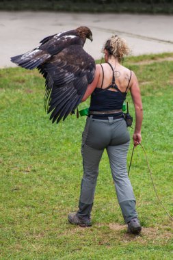 Cabarceno Parkı, Cantabria açıklığı - 19 Temmuz 2024: