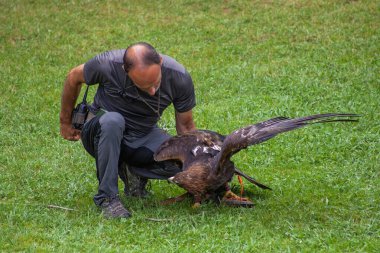 Cabarceno Parkı, Cantabria açıklığı - 19 Temmuz 2024:
