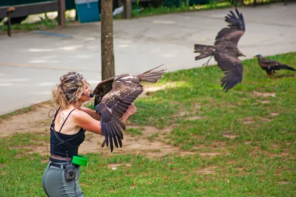 Cabarceno Parkı, Cantabria açıklığı - 19 Temmuz 2024: