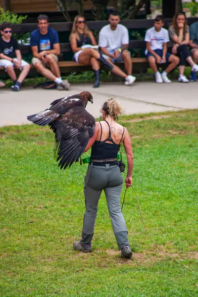 Cabarceno Parkı, Cantabria açıklığı - 19 Temmuz 2024: