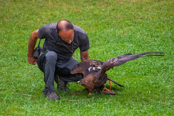 Cabarceno Parkı, Cantabria açıklığı - 19 Temmuz 2024: