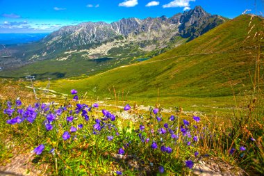 Buzul gölleri grubuna Tatra Mountain, Polonya, görünümden Kasprowy Wierch aralığı.