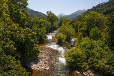 İspanya, Olla de San Vicente 'deki güzel dağ nehri ve antik köprü