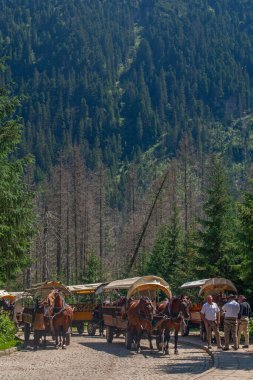 Palenica Bialczanska, Küçük Polonya, Polonya - 26 Temmuz 2024: Morskie Oko Gölü, Zakopane 'den turistlerle Palenica Bialczanska' ya at arabası geri döndü.