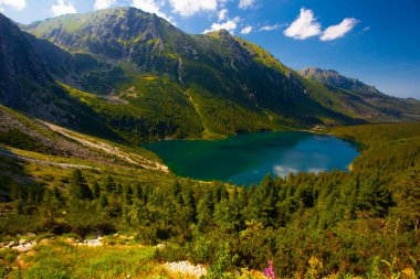 Morskie Oko 'nun ya da Denizin Gözü' nün üstünden bak. Güzel dağ gölü. Tatras, Polonya 'da yaz manzarası.