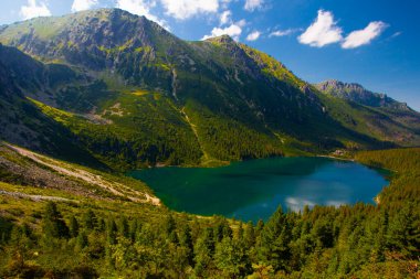 Morskie Oko 'nun ya da Denizin Gözü' nün üstünden bak. Güzel dağ gölü. Tatras, Polonya 'da yaz manzarası.