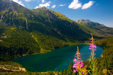 Morskie Oko 'nun ya da Denizin Gözü' nün üstünden bak. Güzel dağ gölü. Tatras, Polonya 'da yaz manzarası.