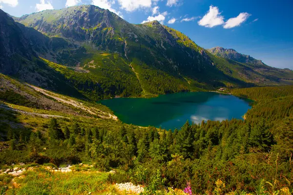 stock image View from above of Morskie Oko, or Eye of the Sea. Beautiful mountain lake. Summer landscape in the Tatras, Poland.