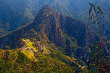 Machu Picchu 'nun ve yemyeşil dağlı Antik İnka harabelerinin hava görüntüsü 
