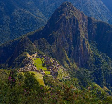 Machu Picchu 'nun ve yemyeşil dağlı Antik İnka harabelerinin hava görüntüsü 