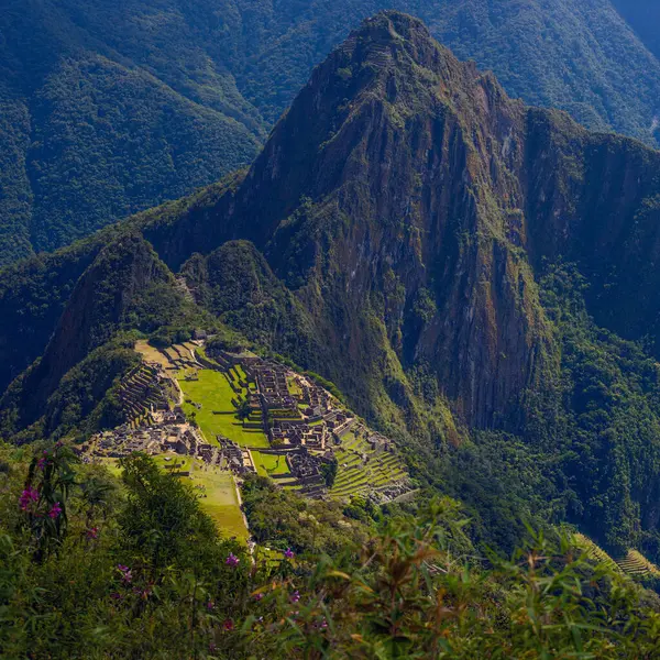 Machu Picchu 'nun ve yemyeşil dağlı Antik İnka harabelerinin hava görüntüsü 