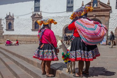 Cuzco, Peru - 13 Mayıs 2022: Cuzco 'da geleneksel giyinmiş Perulu insanlar. Cusco, Peru 'da Lama' nın yanındaki kadın.,