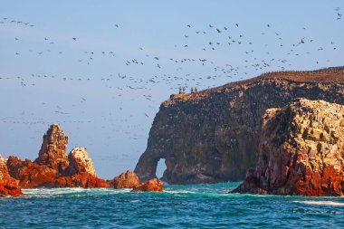 Lots of birds on Ballestas Islands national reserve, Paracas, Peru
