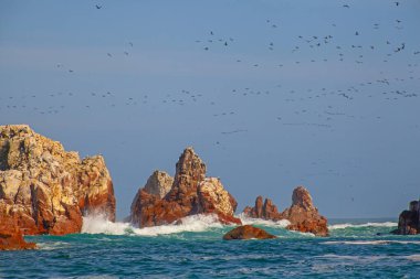 Ballestas Adaları ulusal rezervi, Paracas, Peru 'da bir sürü kuş var.