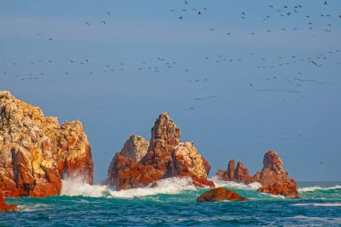 Ballestas Adaları ulusal rezervi, Paracas, Peru 'da bir sürü kuş var.